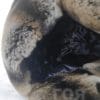 Кожена шапка ушанка от ГОЯ Leather. Шапка изработена от 100% естествена кожа. Използваните естествени материали са агнешка напа и рекс-чинчила. Лек, топъл и комфортен модел. Шапката е унисекс.